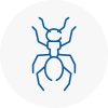 Ant Removals In Knebworth