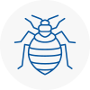 Bed Bug Extermination In Knebworth