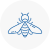 Bee Nest Removal Knebworth