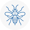 Knebworth Hornet Nest Removals