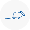 Mice Exterminators In Knebworth