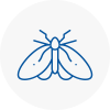 Moth Control Specialists In Knebworth