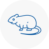 Rat Control Knebworth
