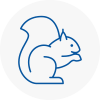 Knebworth Rodent Removals